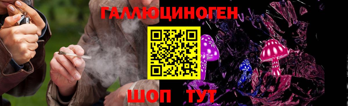 Костомукша  Галлюциногенные грибы MAGIC MUSHROOMS  Вход с VPN  Псилоцибиновые грибы мицелий 